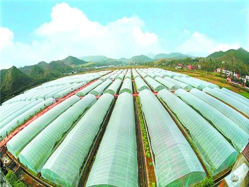 空氣能熱泵如何給植物養殖創造環境？